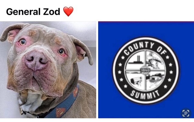 GENERAL ZOD 1