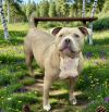 Roxy