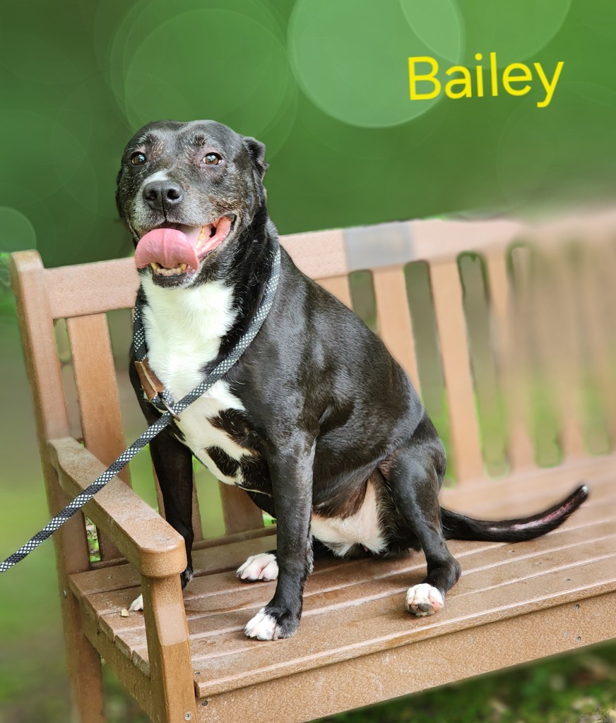 Bailey