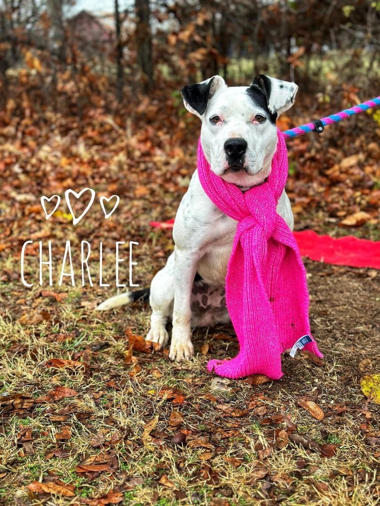 Charlee