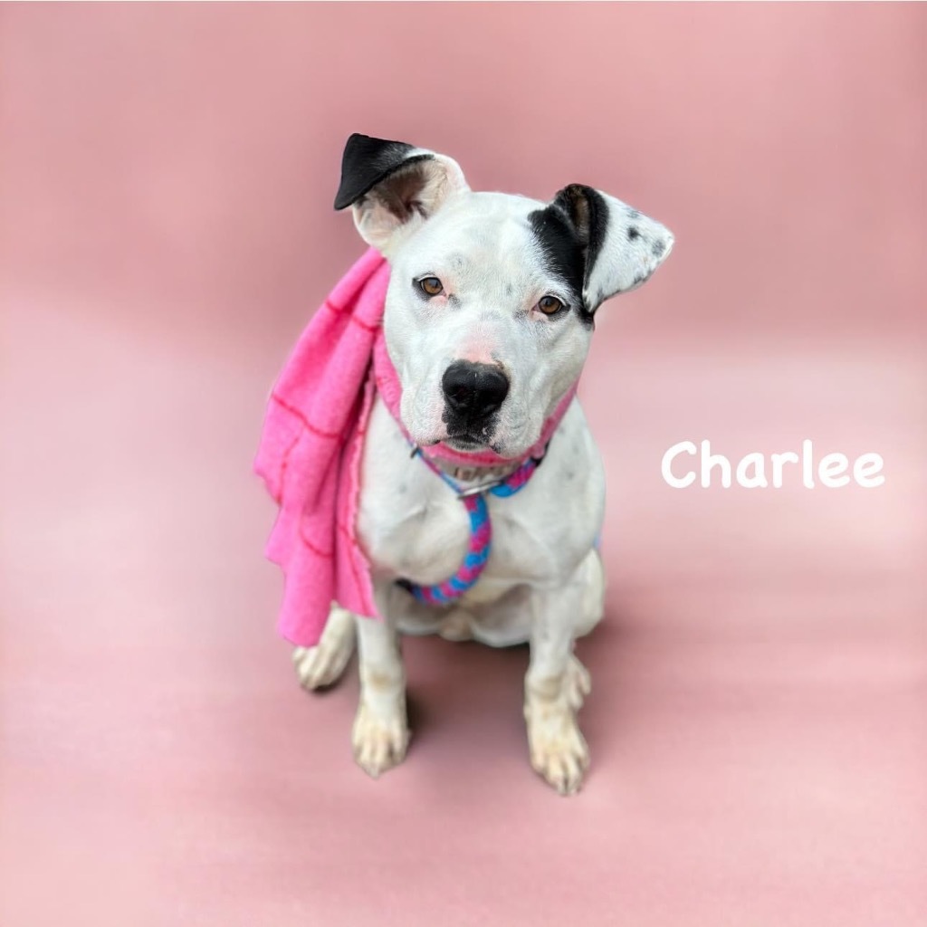 Charlee