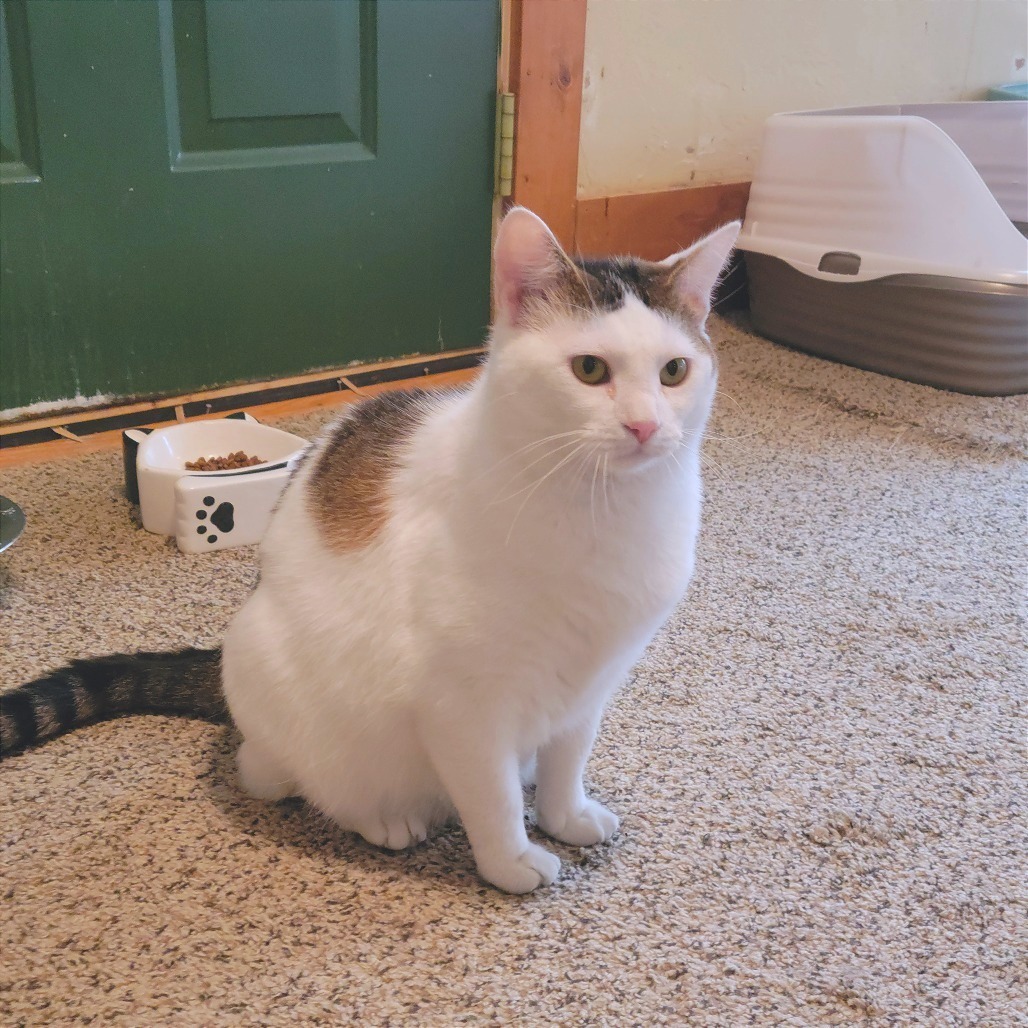 Bertie (bonded with Patty)