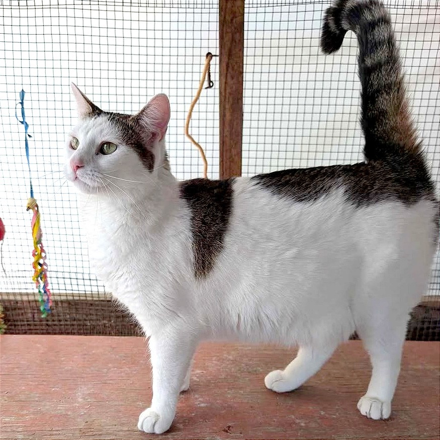Bertie (bonded with Patty)