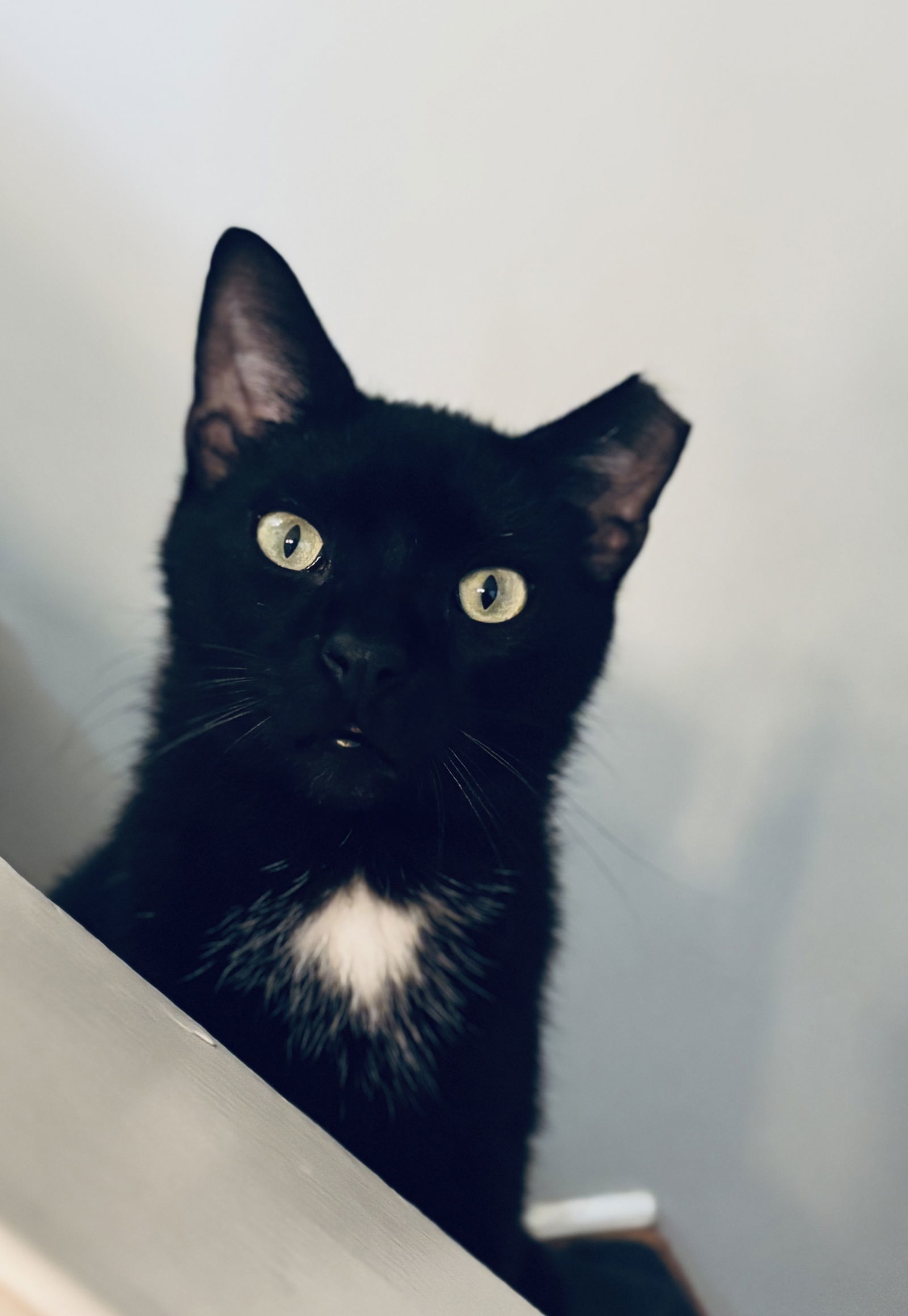 Onyx