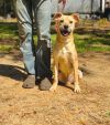 Louie photo 3