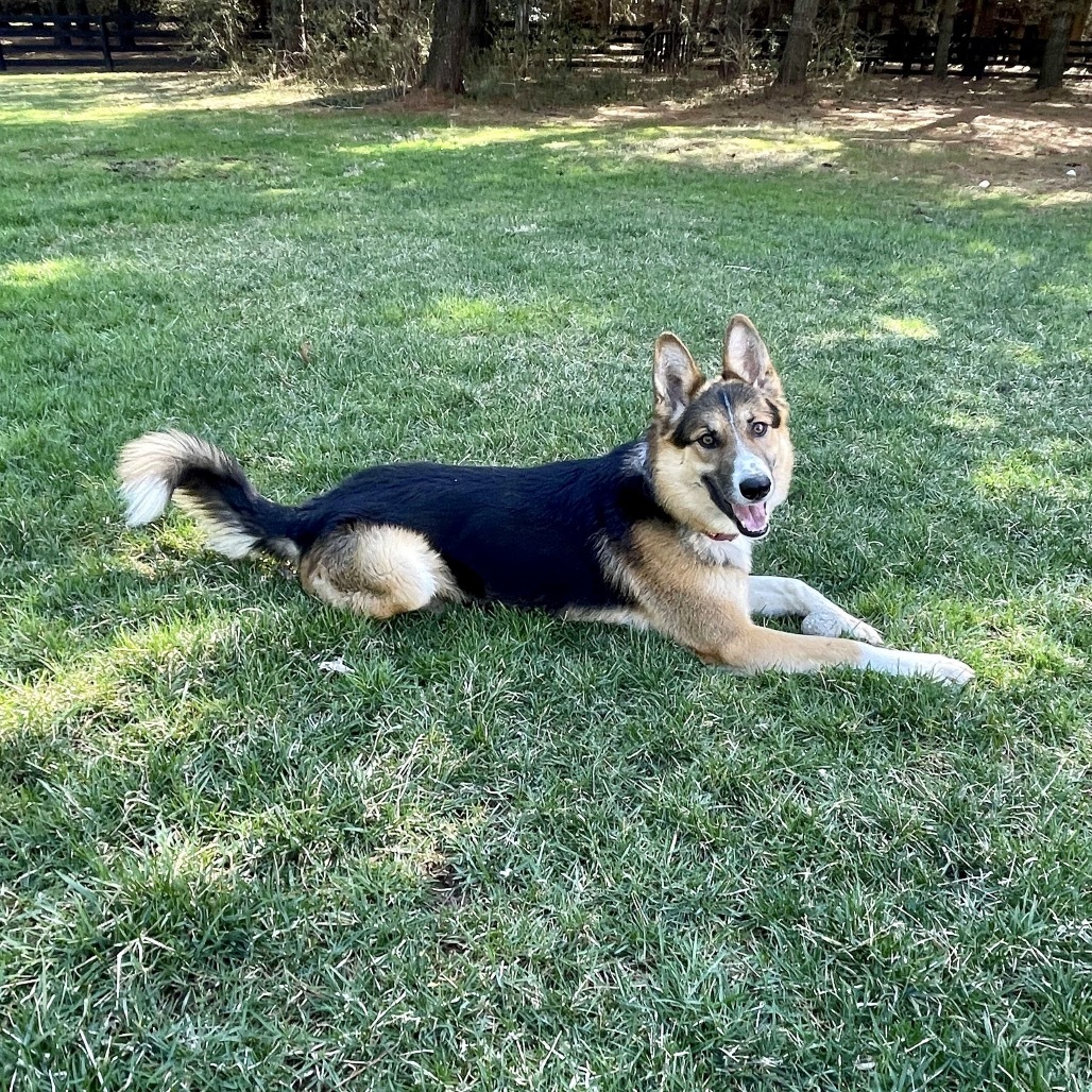 Lucas