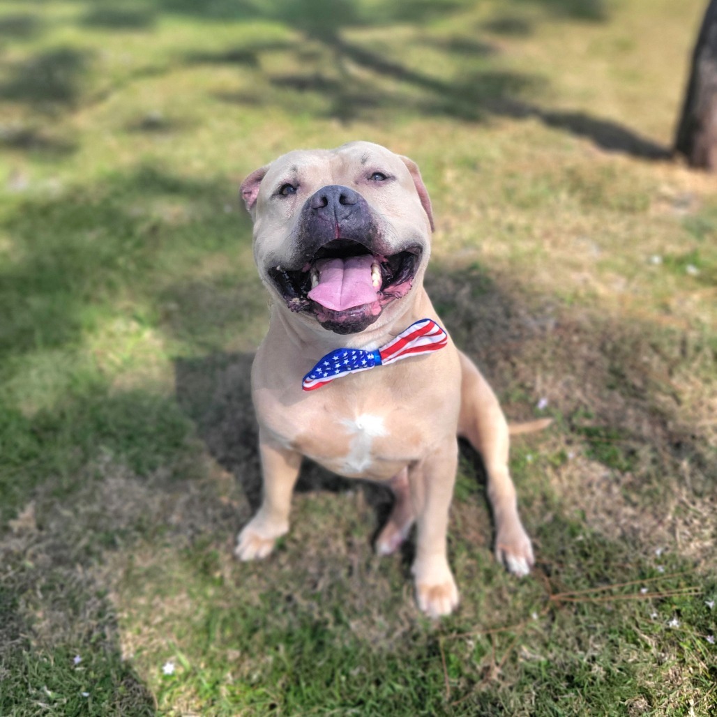 Jax