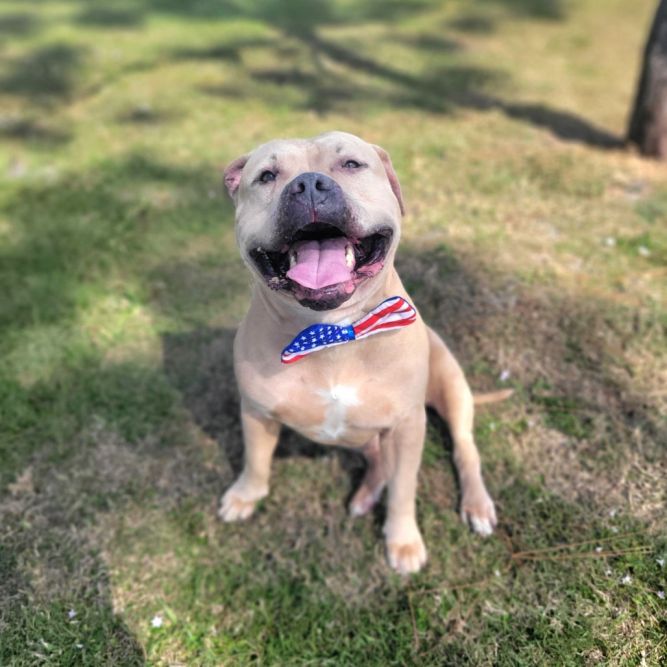 Jax