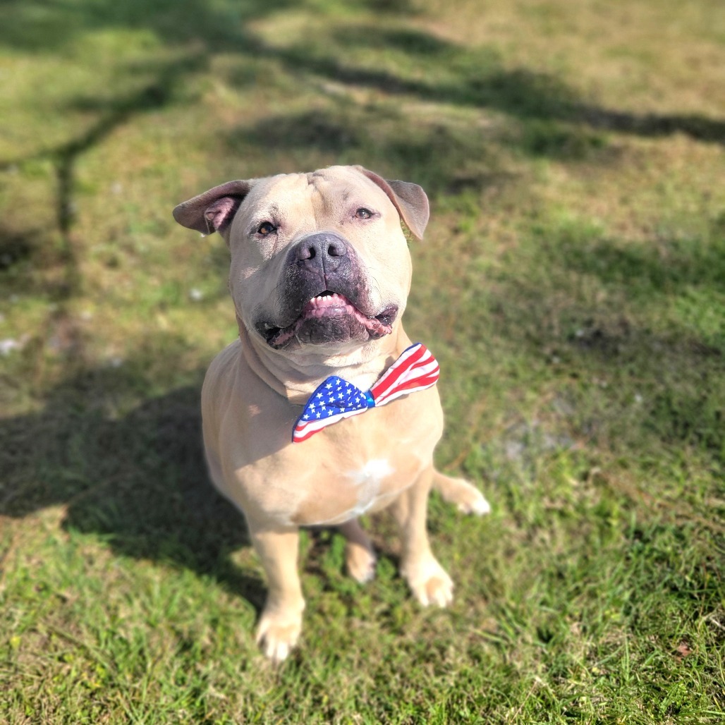 Jax