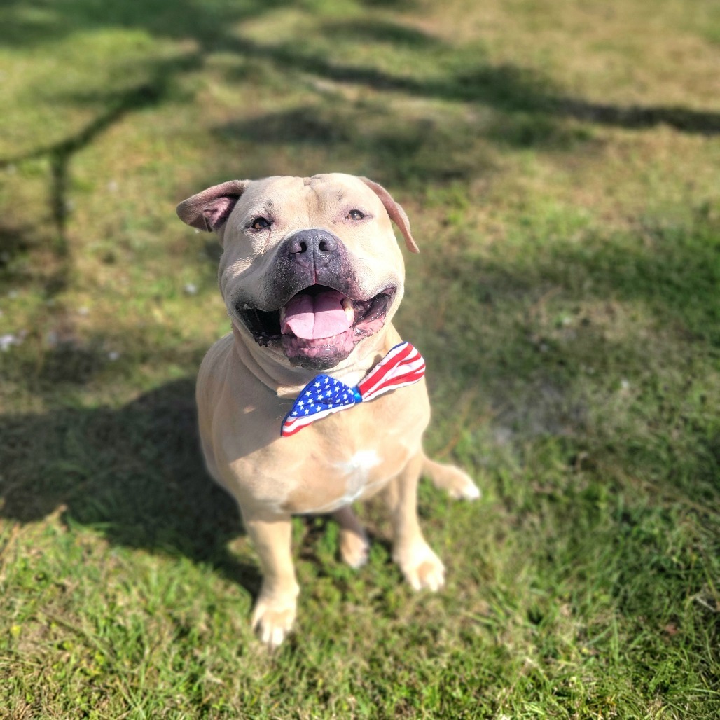 Jax