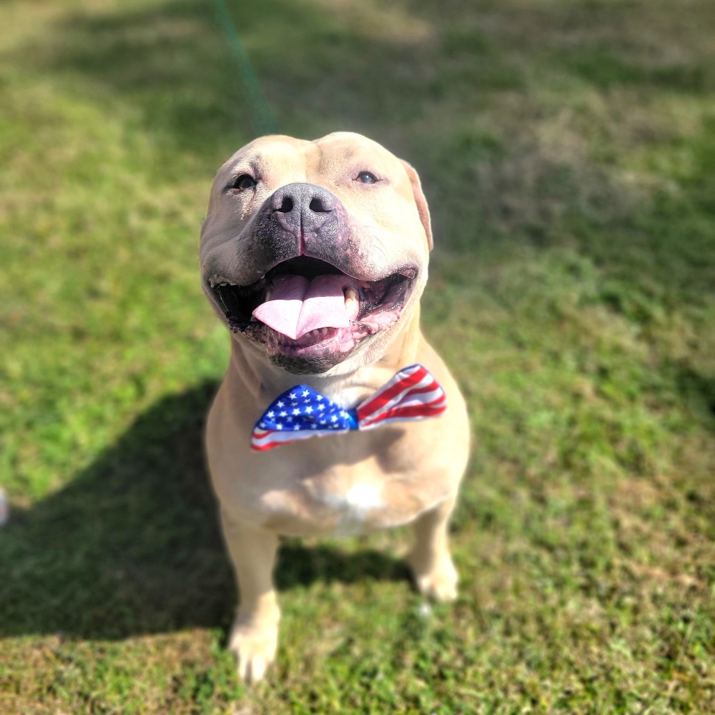 Jax