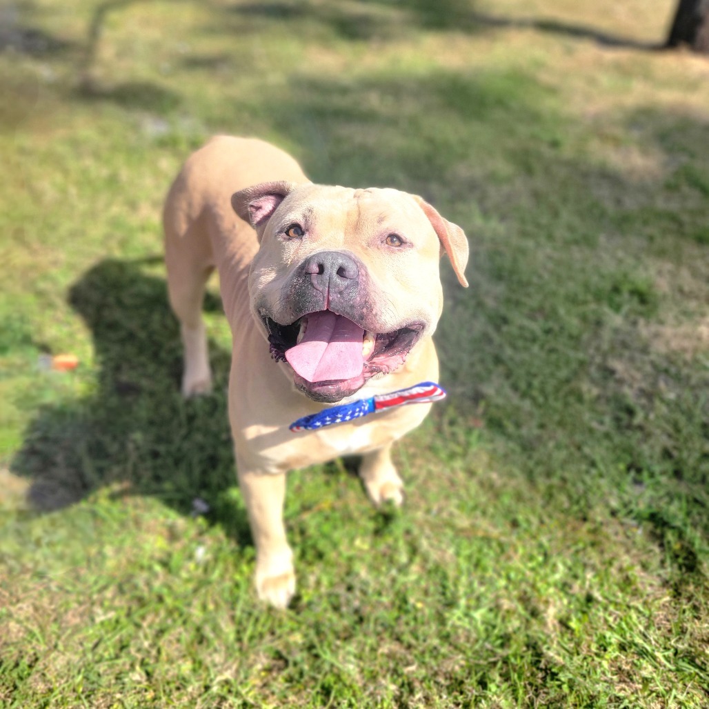 Jax