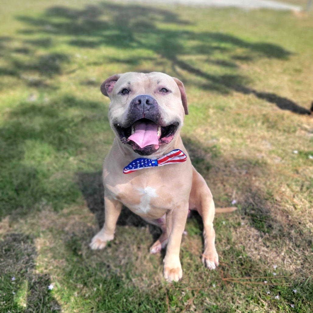 Jax