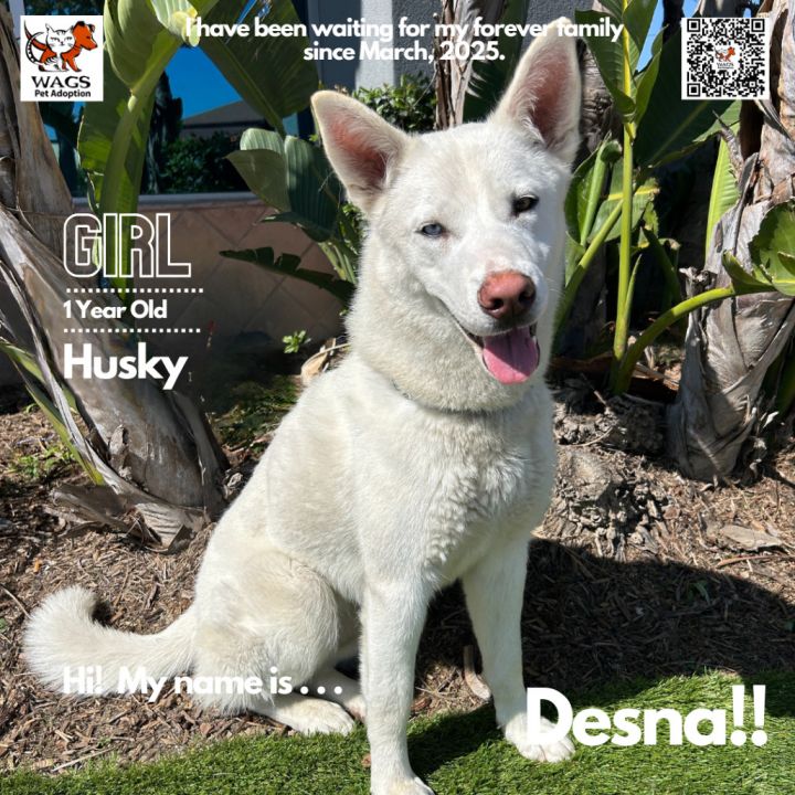 Desna 1