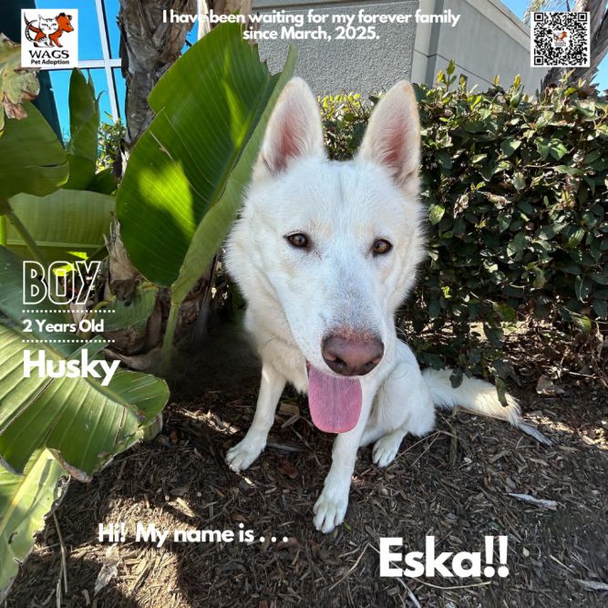 Eska
