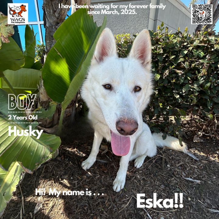 Eska 1