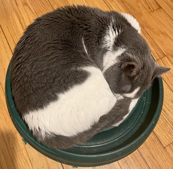 Marbles