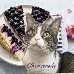 Cheesecake
