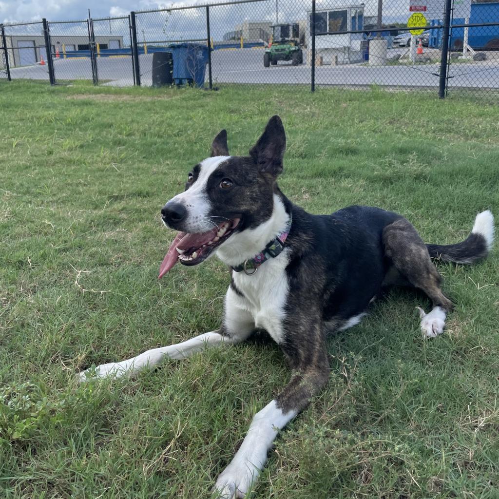 Sophie