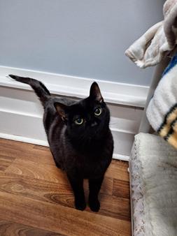 Pete
