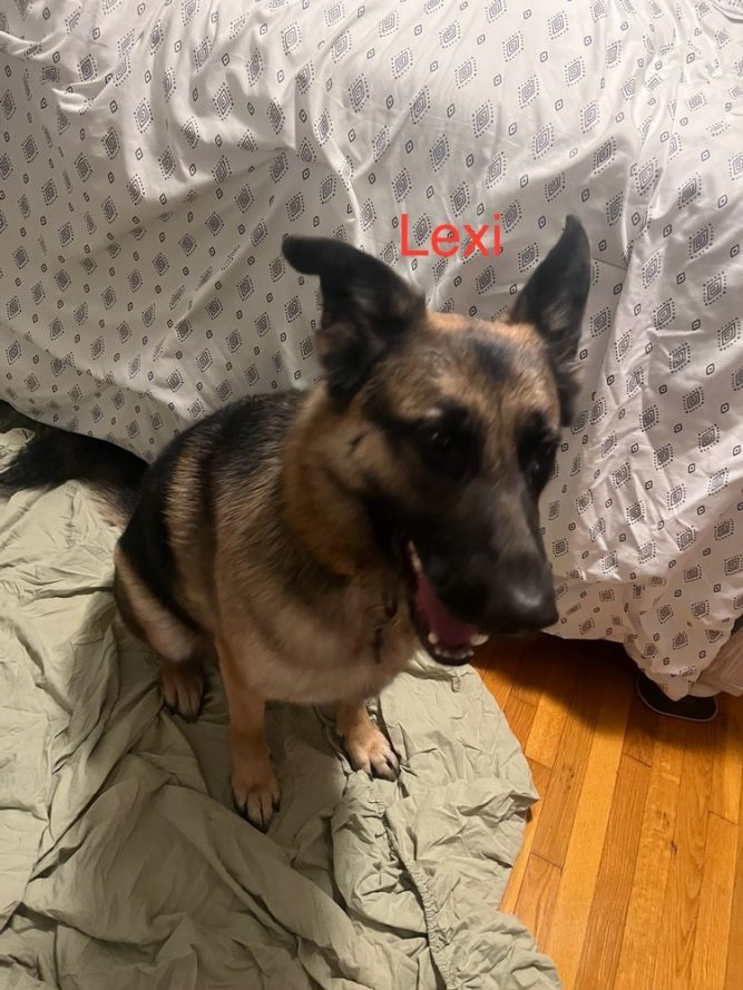 Lexi (Courtesy Post)