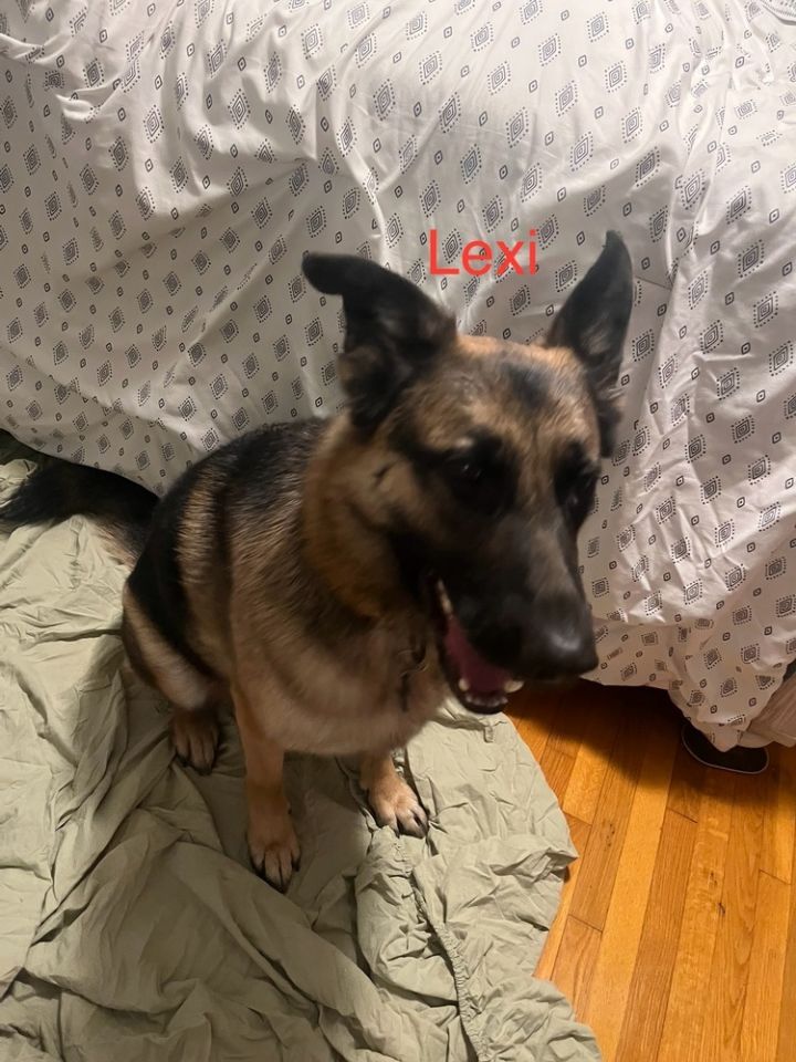 Lexi (Courtesy Post) 1