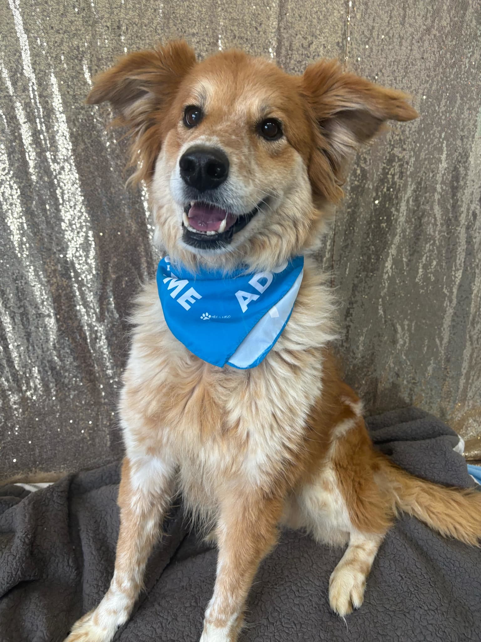 Duke