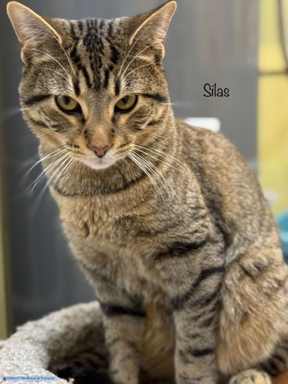 Silas