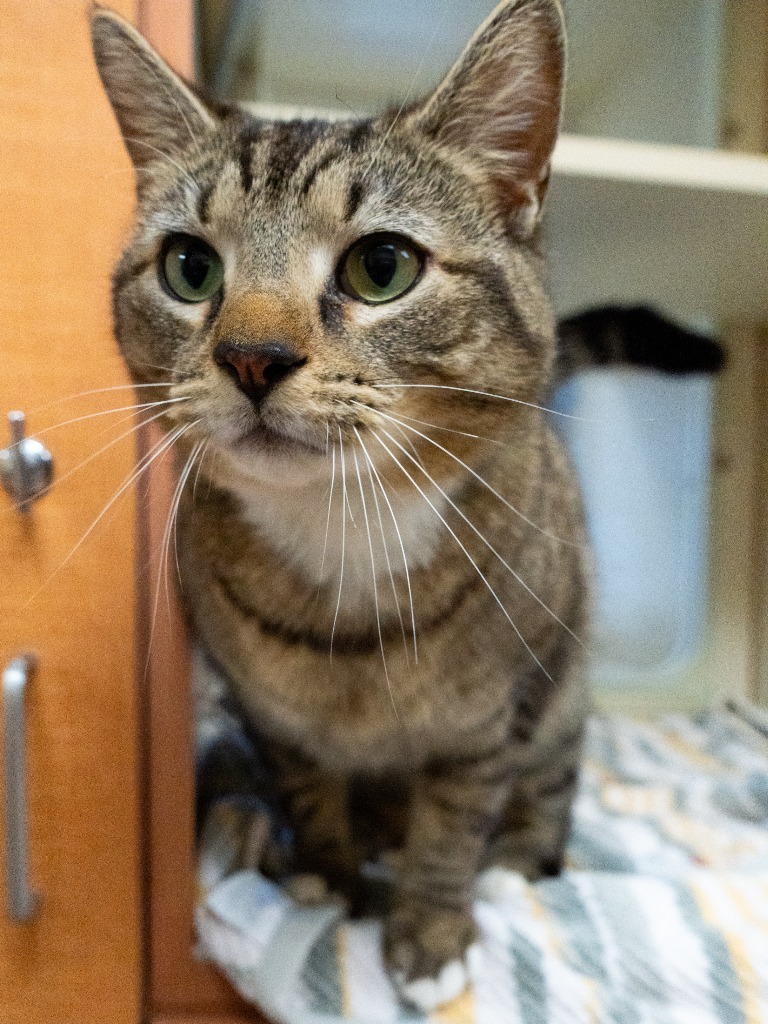 Tigger