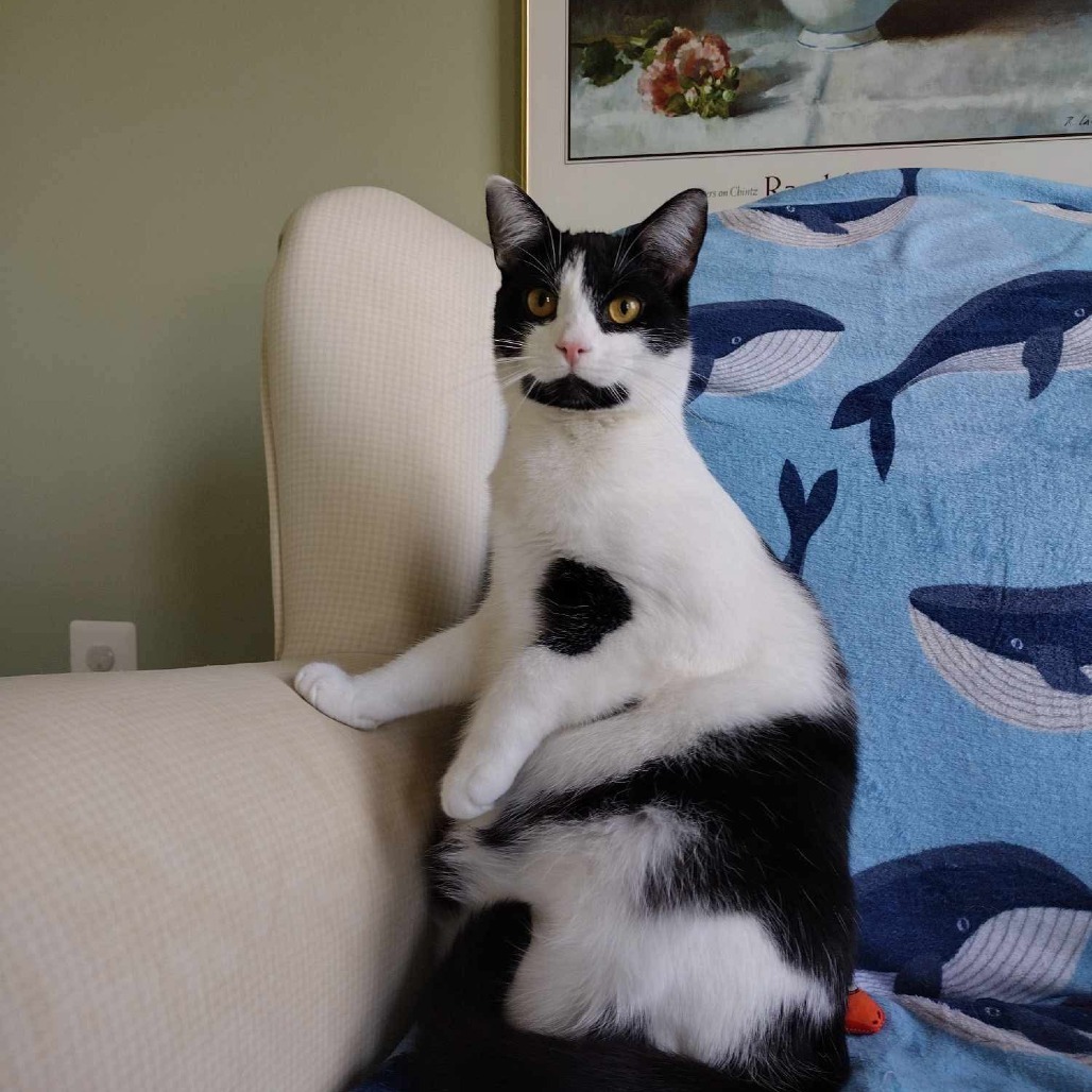 Perry