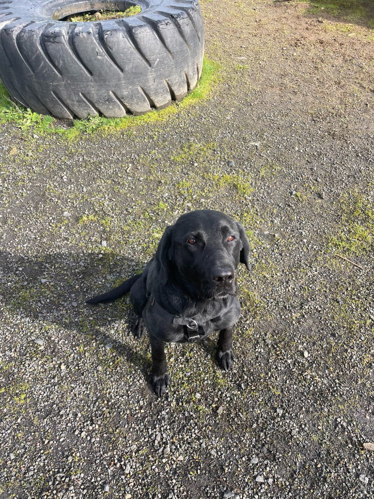 Lucy