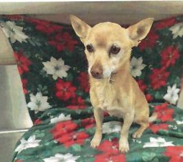 Charlie (A114129)
