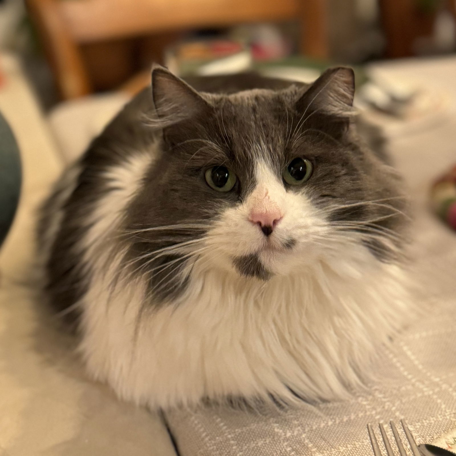 Sweetie