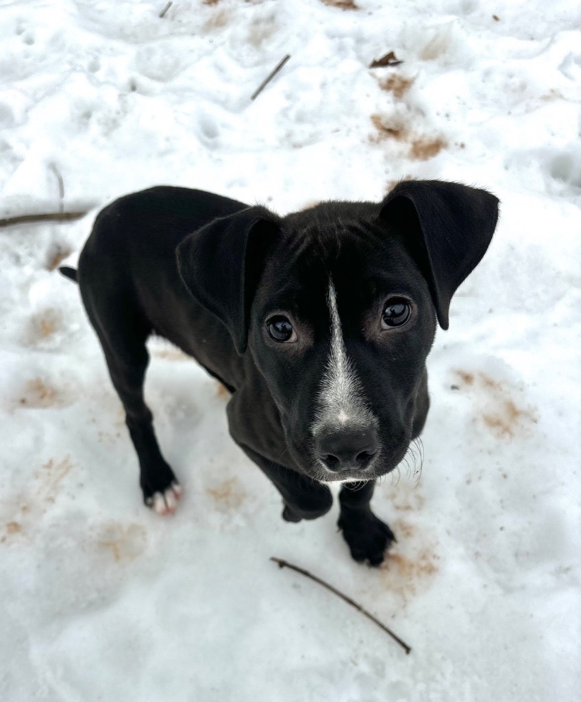 Tux