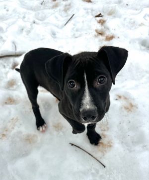 Tux