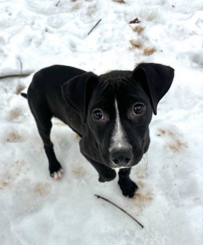 Tux