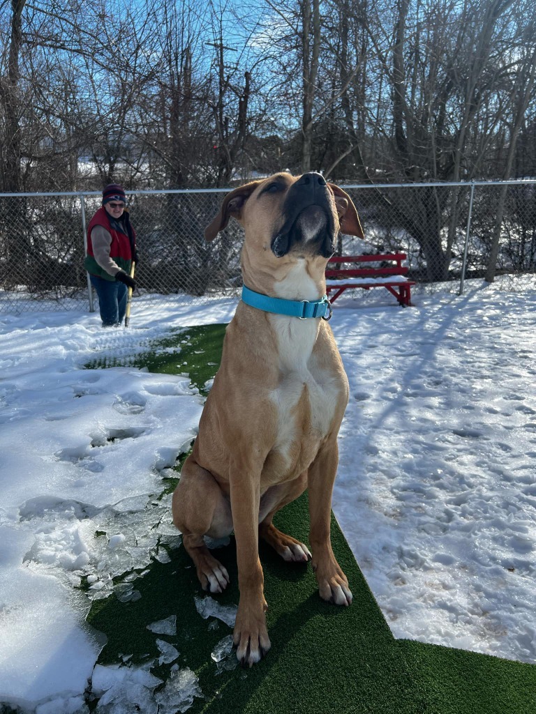 Thor