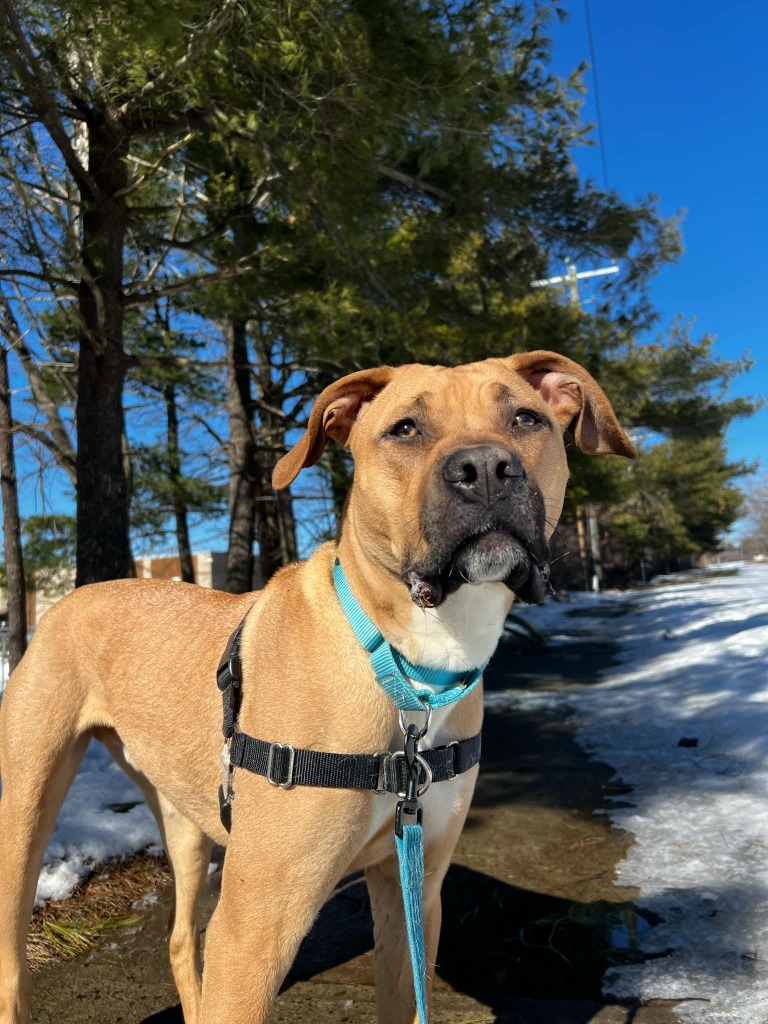 Thor