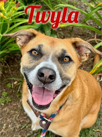 Twyla 2