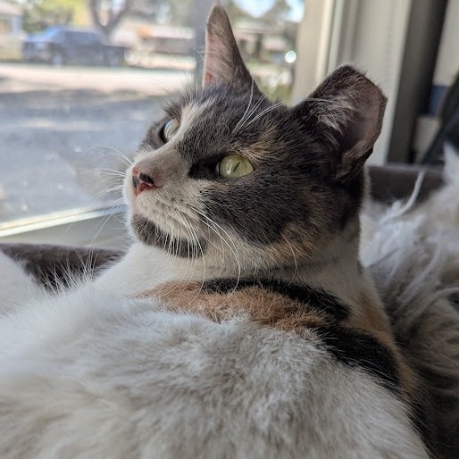 Kira