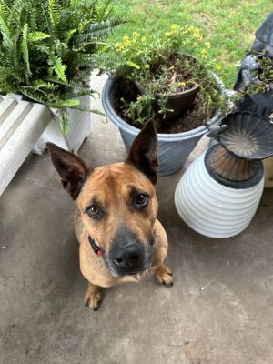 Reba