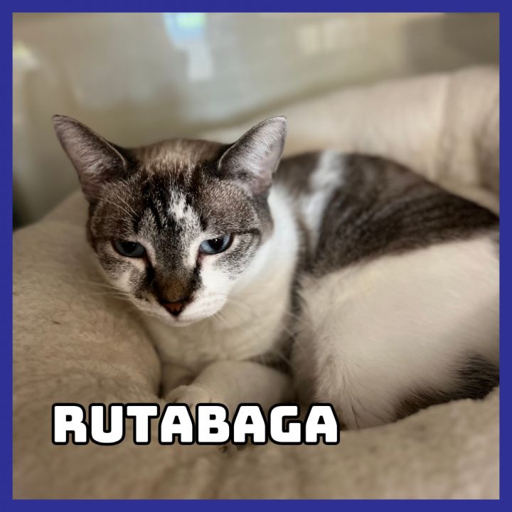 Rutabaga 1