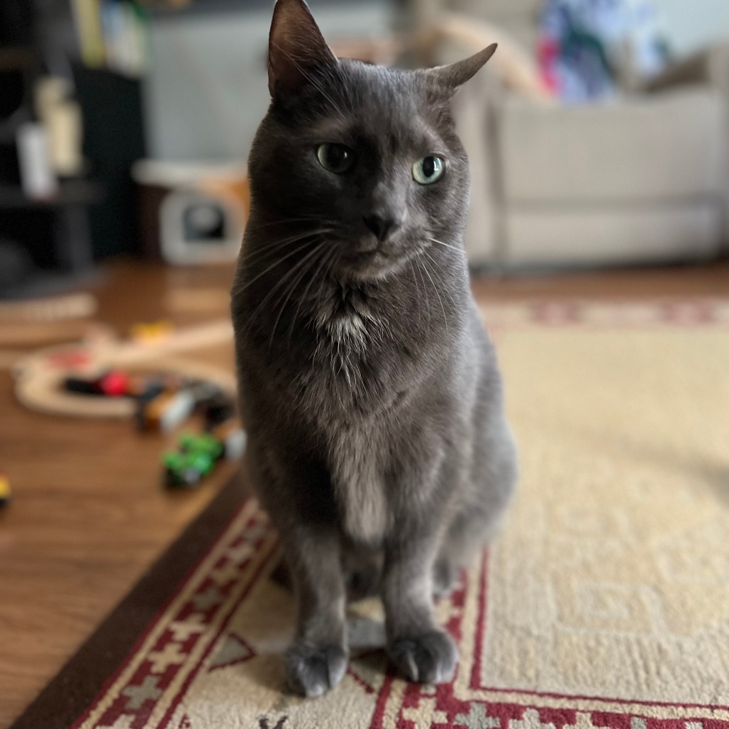 Roger