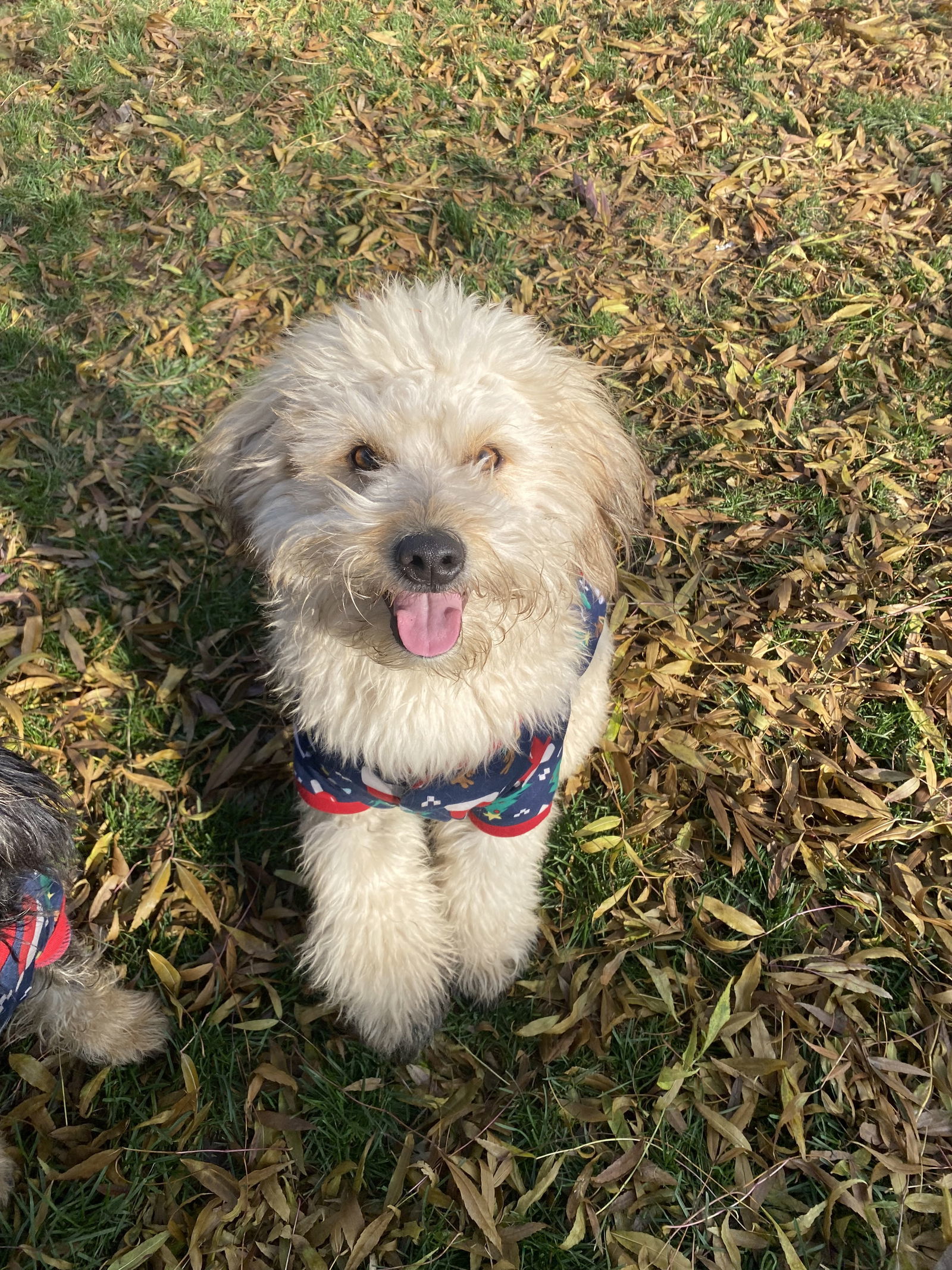 Coco and Guffy
