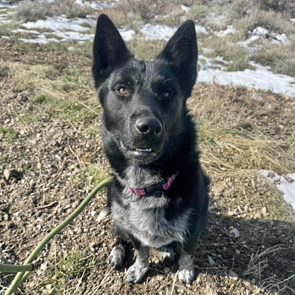 Smudge