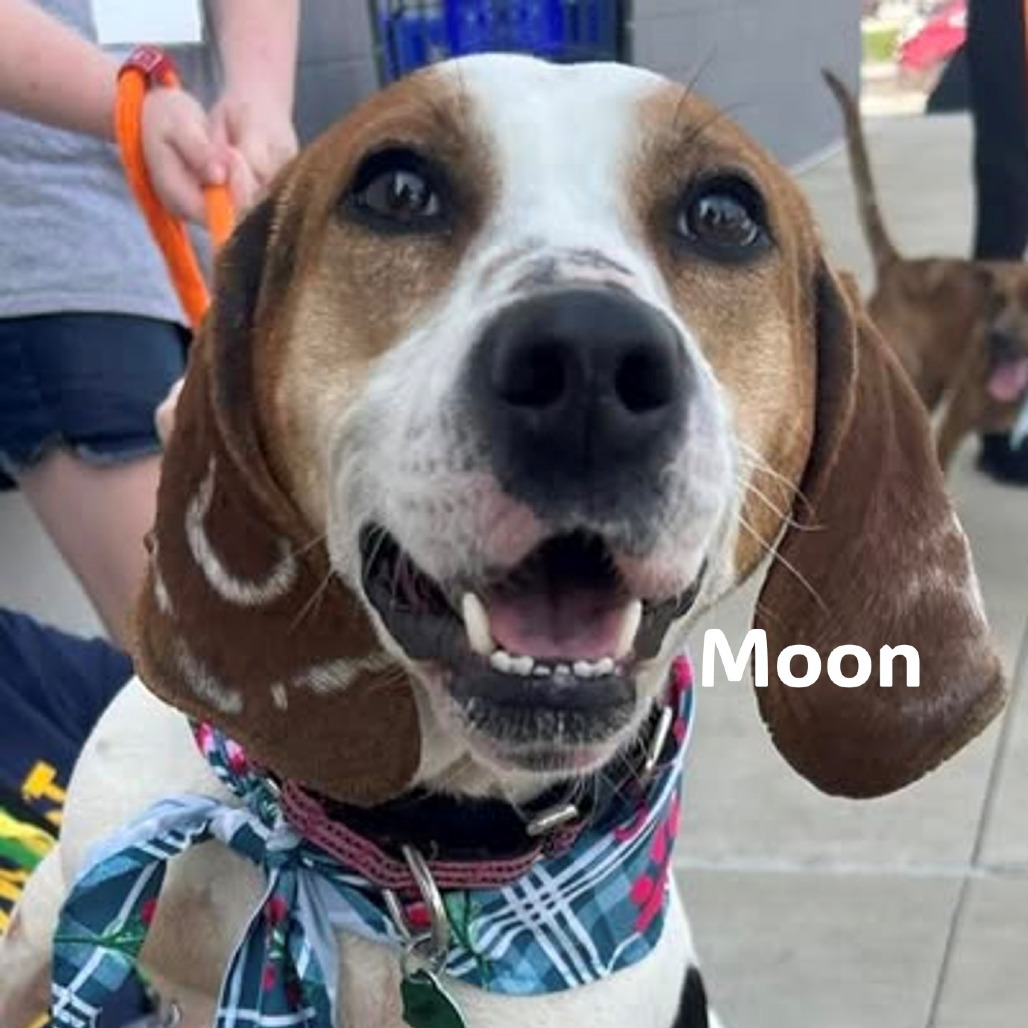 Moon