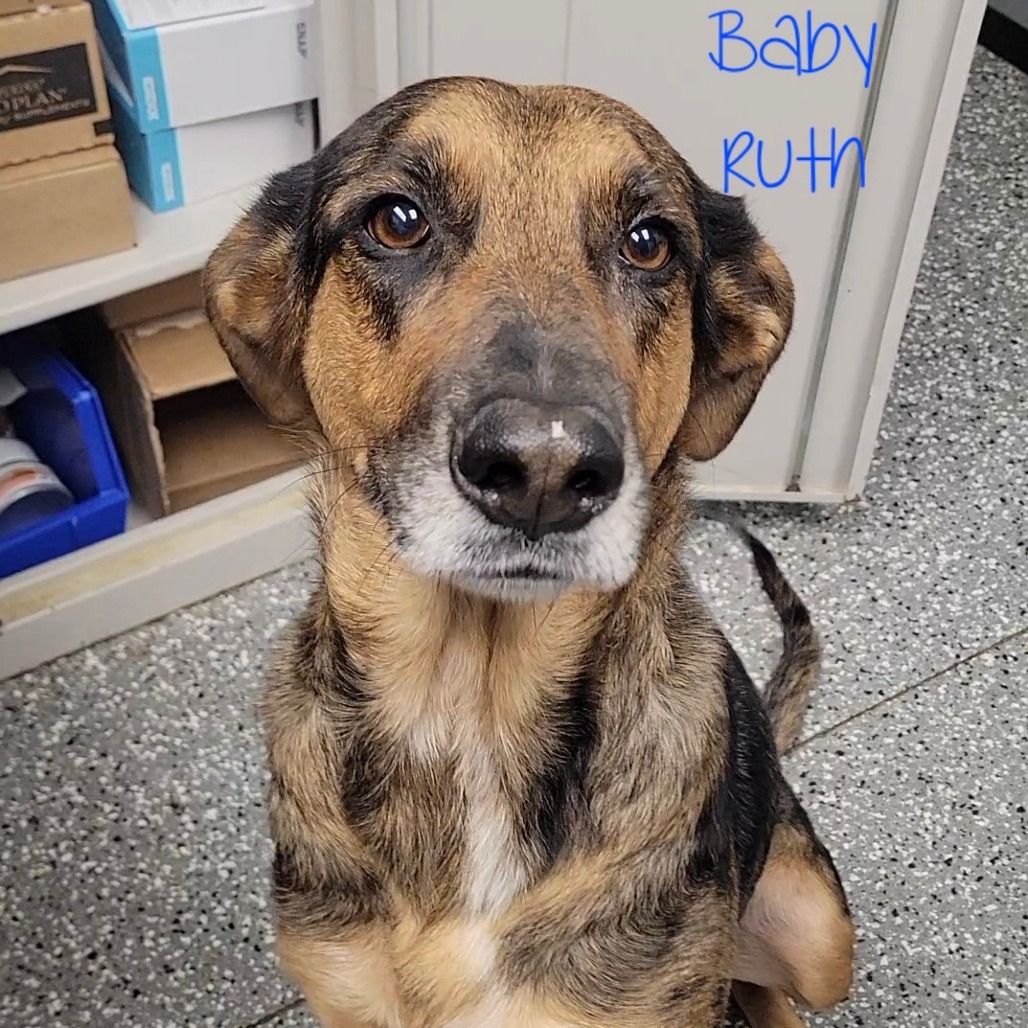 Baby Ruth