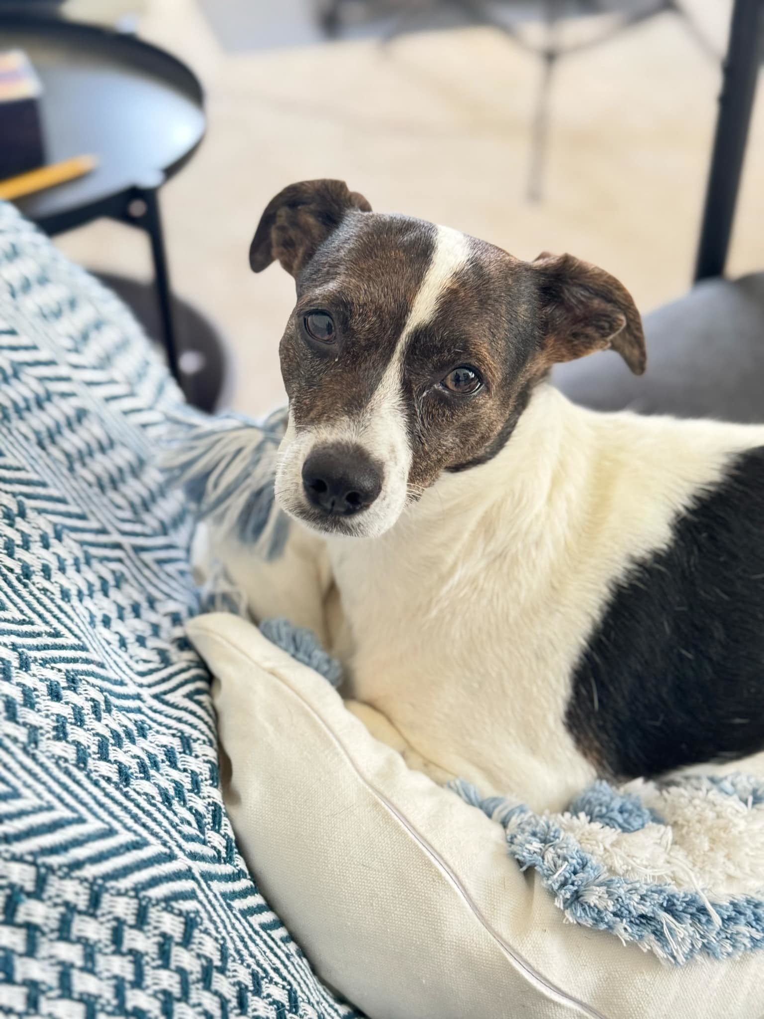 Penny