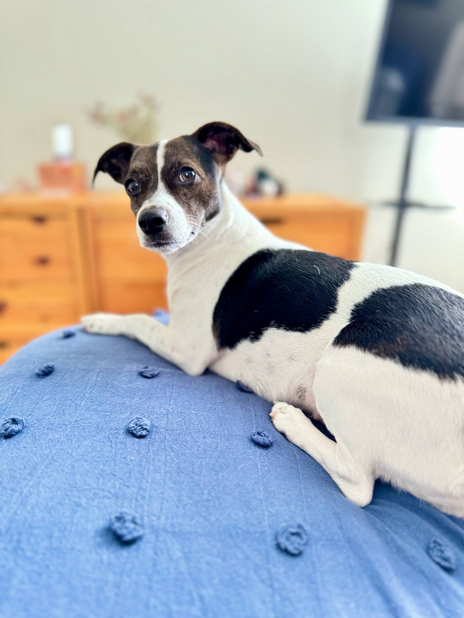 Penny