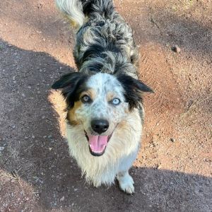 Jax